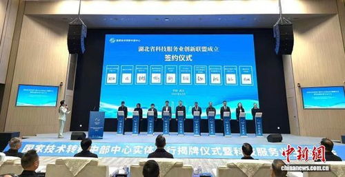 信息技术咨询服务助力创新驱动发展 国家技术转移中部中心在武汉揭牌